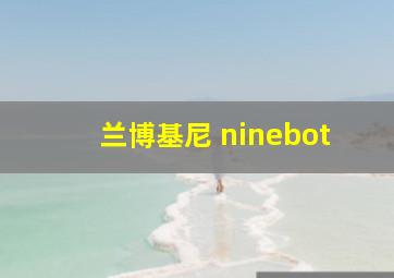 兰博基尼 ninebot